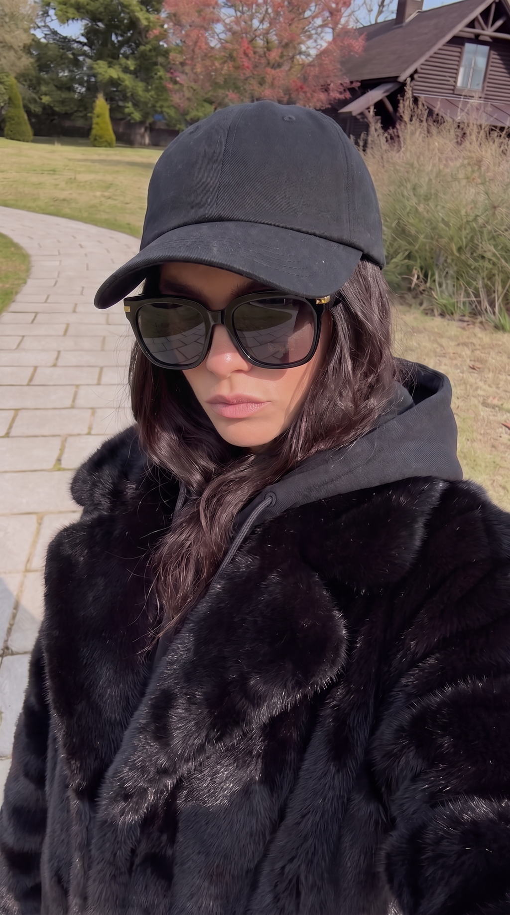 Royal Rayz Oversized Cat Sunglasses – Black & Gold, Smoke Lens